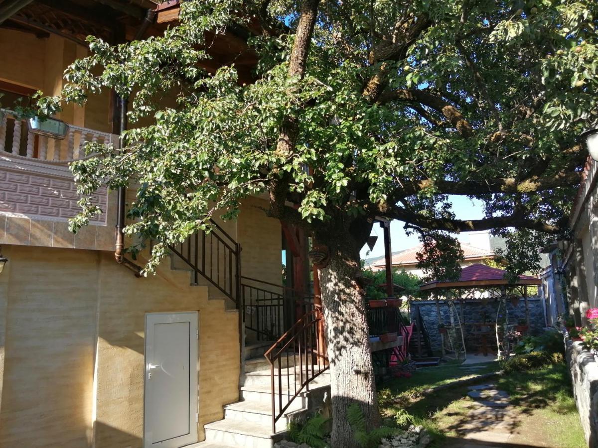 Dariya Guest House Szapareva Banja Kültér fotó