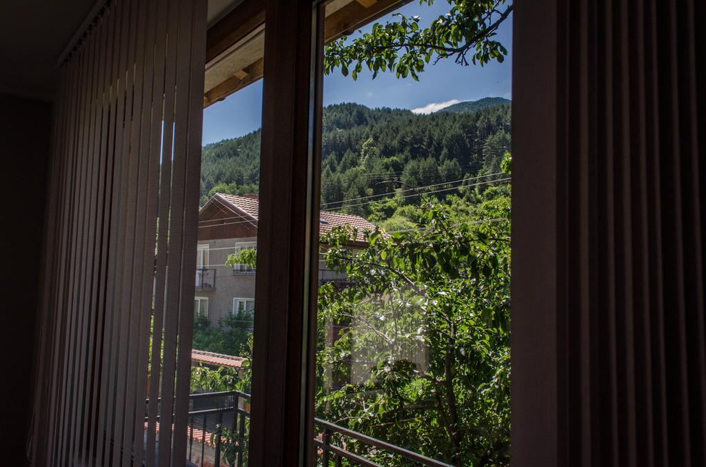 Dariya Guest House Szapareva Banja Szoba fotó