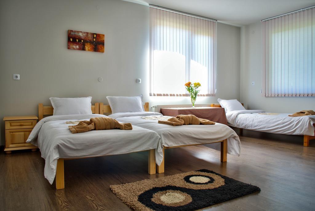 Dariya Guest House Szapareva Banja Szoba fotó