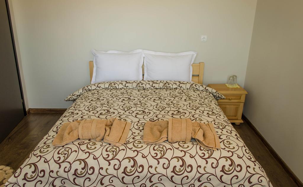 Dariya Guest House Szapareva Banja Szoba fotó